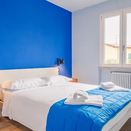 Blue - Italian Homing
